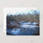 冬の湿地の池 ポストカード (正面/裏面)
