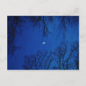 冬の満月(木) ポストカード (正面)