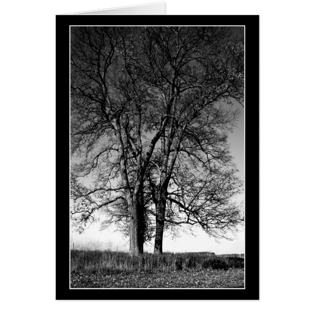 冬の準備 (正面)