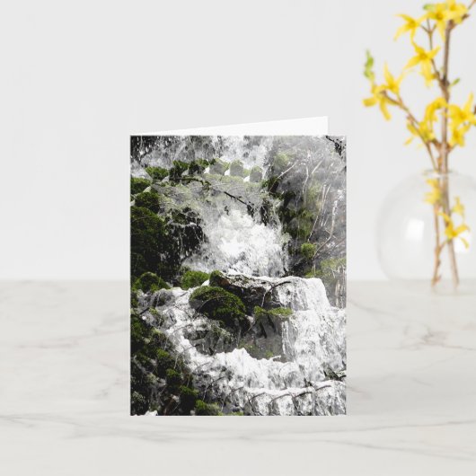 冬の滝…... カード (黄色い花)