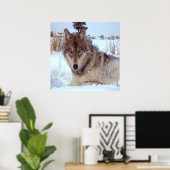 冬の灰色のオオカミ ポスター (ホームオフィス)