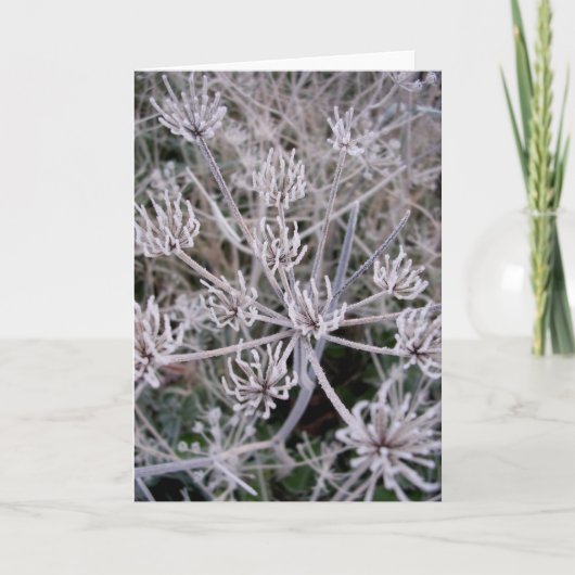 冬の爪 カード (正面)