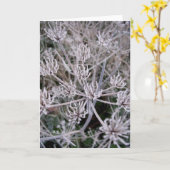 冬の爪 カード (黄色い花)