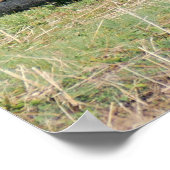 冬の牧草地でアイドル状態で座っている古い大きなトラクター ポスター (角)