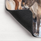 冬の牧草地にアイスランドの馬Hofn近く マウスパッド (コーナー)