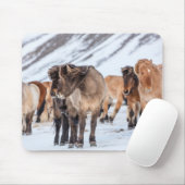 冬の牧草地にアイスランドの馬Hofn近く マウスパッド (マウス)