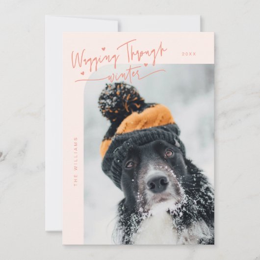 冬の犬の写真を通して歩く桃のクリスマス シーズンカード (正面)