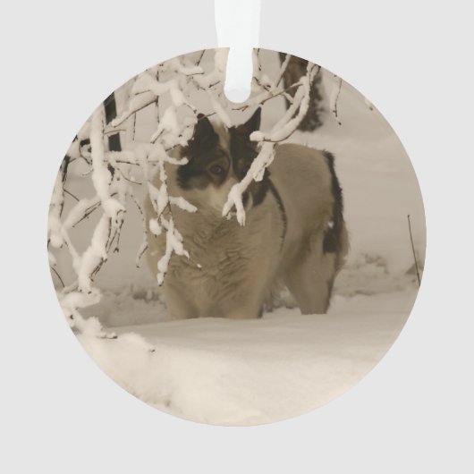 冬の犬 オーナメント (裏面)