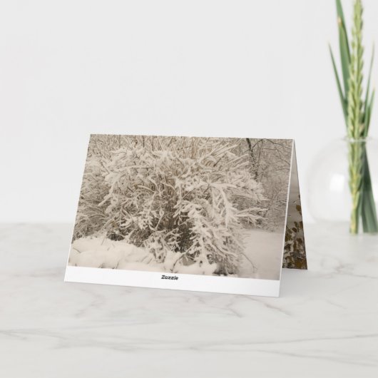 冬の犬 カード (裏面)