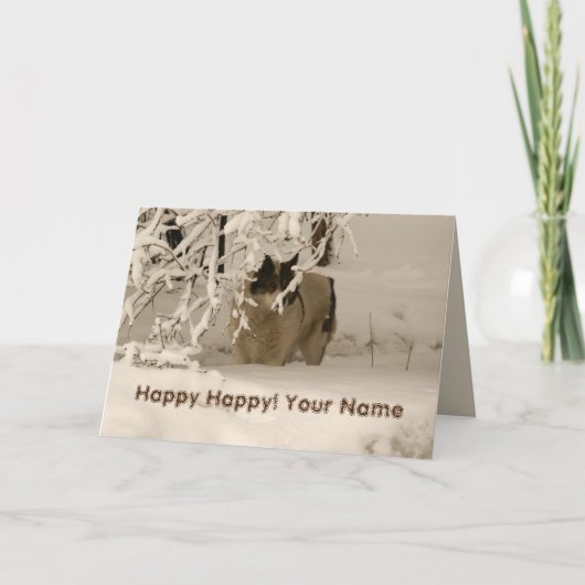 冬の犬 カード (正面)