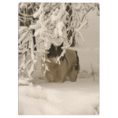 冬の犬 クリップボード (裏面)