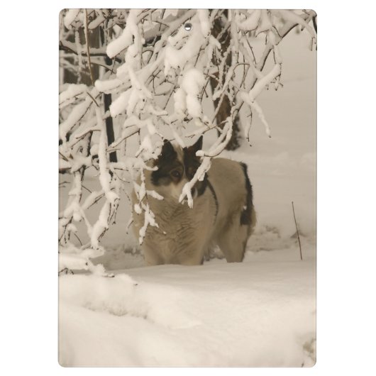 冬の犬 クリップボード (裏面)