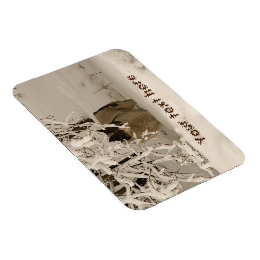 冬の犬 マグネット (右側)