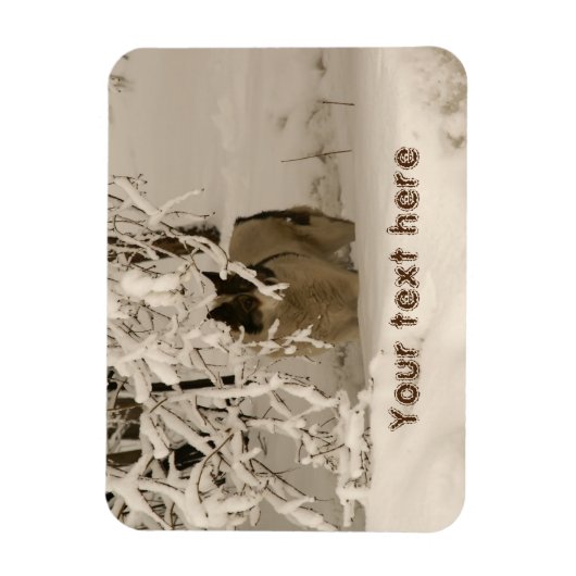 冬の犬 マグネット (縦)