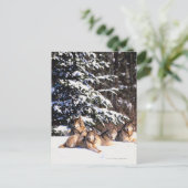 冬の狼の群れ ポストカード (スタンド正面)