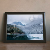 冬の生き残り ポスター