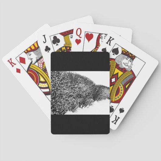 冬の生垣 トランプ (裏面)