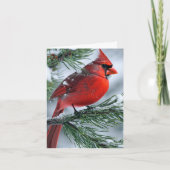 冬の男性（鳥）ショウジョウコウカンチョウバードクリスマス結婚パーティー 招待状 (正面)