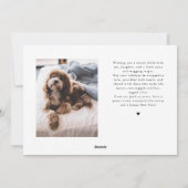 冬の白いペットの写真を見ながら歩く シーズンカード (裏面)