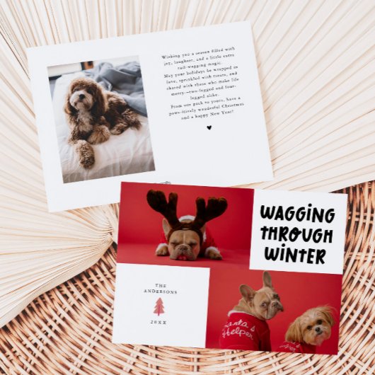 冬の白いペットの写真を見ながら歩く シーズンカード