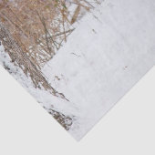 冬の白い雪のフィールドでボタンバックディアー 薄葉紙 (詳細)