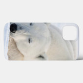 冬の白くま Case-Mate iPhoneケース (裏面 (横))