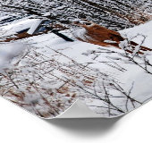 冬の白尾の鹿の価値ポスター ポスター (角)