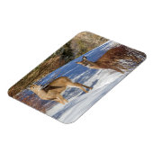 冬の白尾の鹿 マグネット (左側)