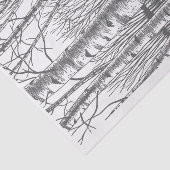 冬の白樺の木 薄葉紙 (詳細)
