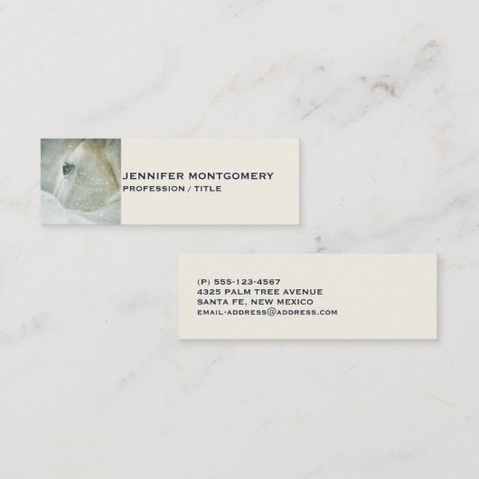 冬の白馬の写真|過去記事 スキニー名刺 (正面/裏面)