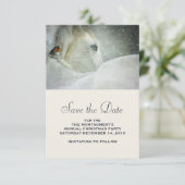 冬の白馬の写真|過去記事 セーブザデート (スタンド正面)