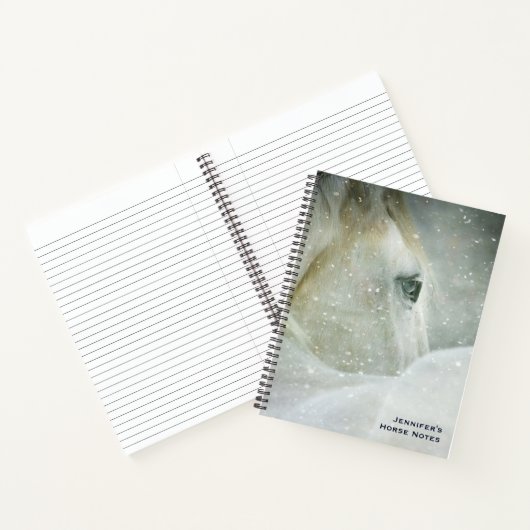 冬の白馬の写真|過去記事 ノートブック (内部)