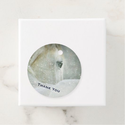 冬の白馬の写真|過去記事 フェイバータグ (インサイチュ)