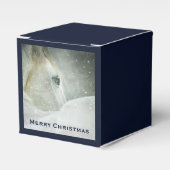 冬の白馬の写真|過去記事 フェイバーボックス (正面サイド)