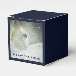 冬の白馬の写真|過去記事 フェイバーボックス