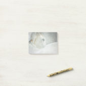 冬の白馬の写真|過去記事 ポストイット (デスク上)