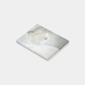 冬の白馬の写真|過去記事 ポストイット (アングル)