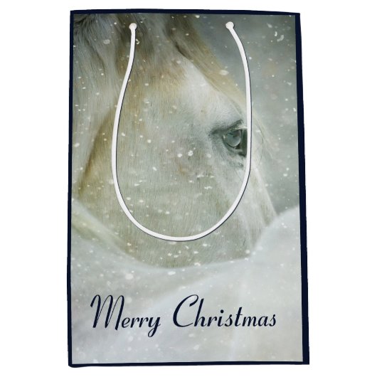 冬の白馬の写真|過去記事 ミディアムペーパーバッグ (正面)