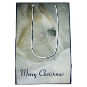 冬の白馬の写真|過去記事 ミディアムペーパーバッグ (裏面)