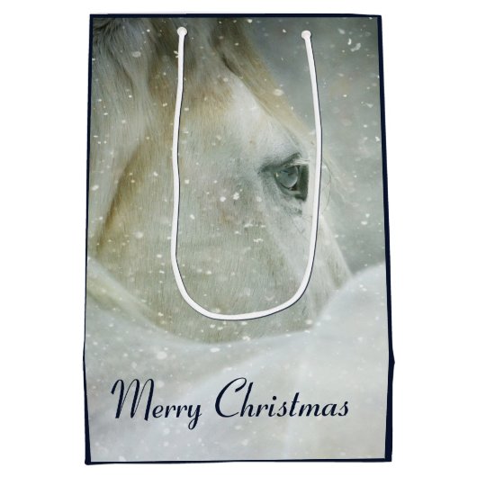 冬の白馬の写真|過去記事 ミディアムペーパーバッグ (裏面)