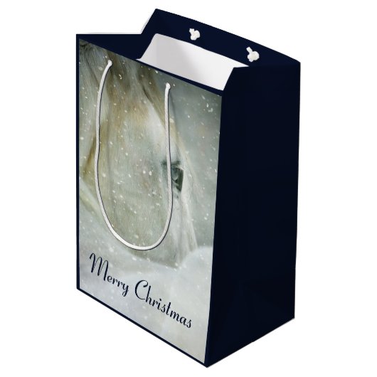 冬の白馬の写真|過去記事 ミディアムペーパーバッグ (裏面アングル)