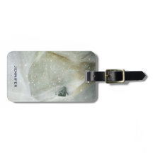 冬の白馬の写真|過去記事