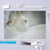 冬の白馬鳥写真 薄葉紙 (クラフト)