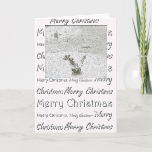 冬の白鳥 シーズンカード (正面)