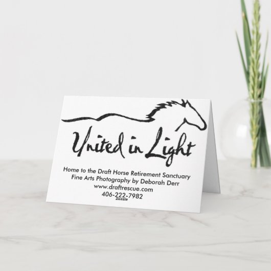 冬の白 カード (裏面)