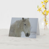 冬の白 カード (黄色い花)