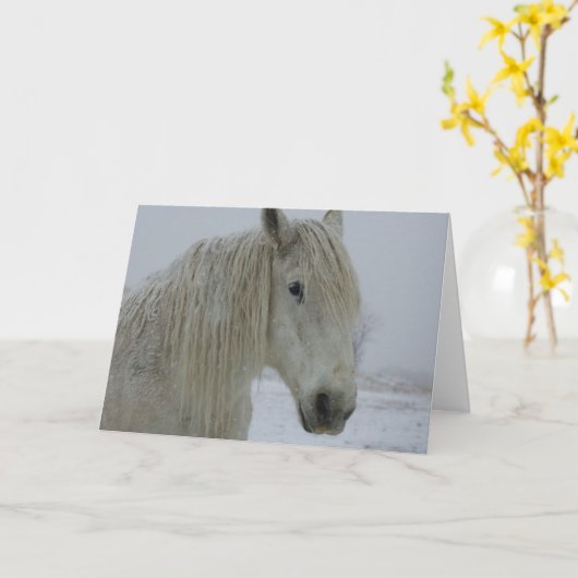 冬の白 カード (黄色い花)