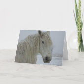 冬の白 カード (正面)