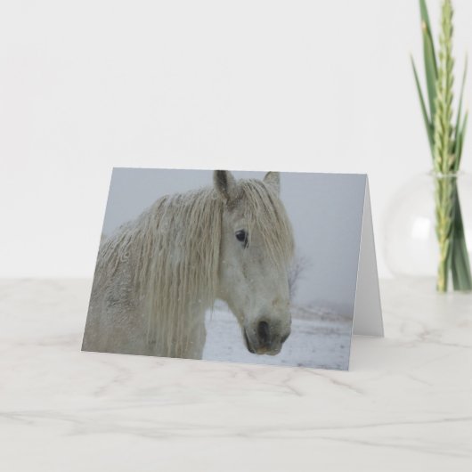 冬の白 カード (正面)