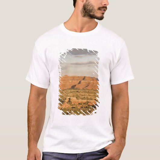 冬の砂漠の風景に入る途中に Tシャツ (正面)